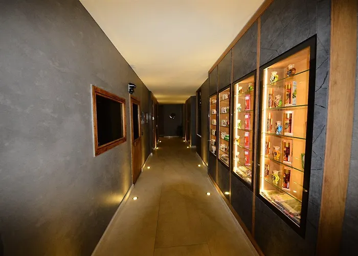 فندق Idas Club